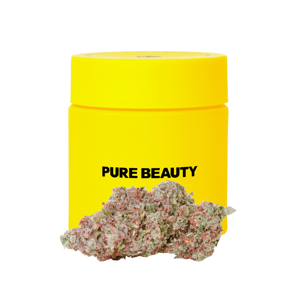 Pure Beauty | Flower | 3.5g | Green Cush