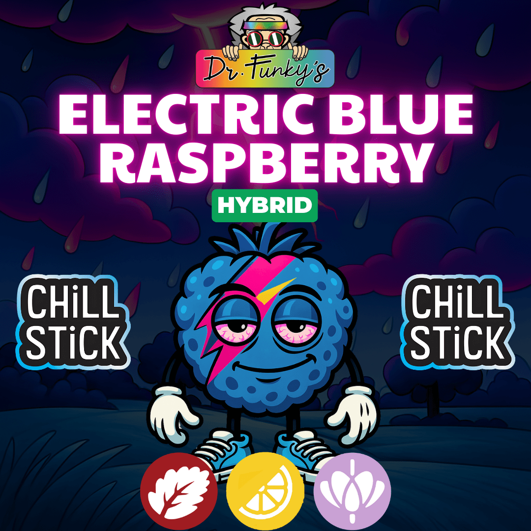 Dr.Funky's Infused 0.6g Chill Stick (Electric Blue Raspberry)