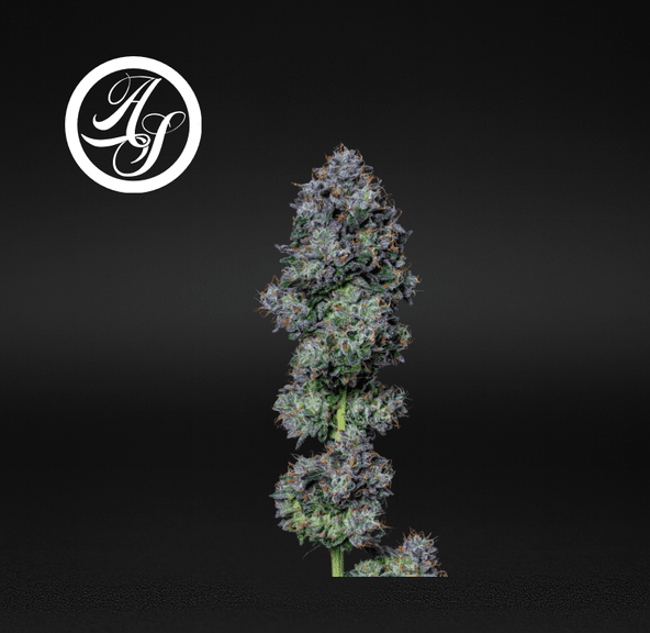 Alt Sol | Panama Red - Flower | 3.5g | Sativa