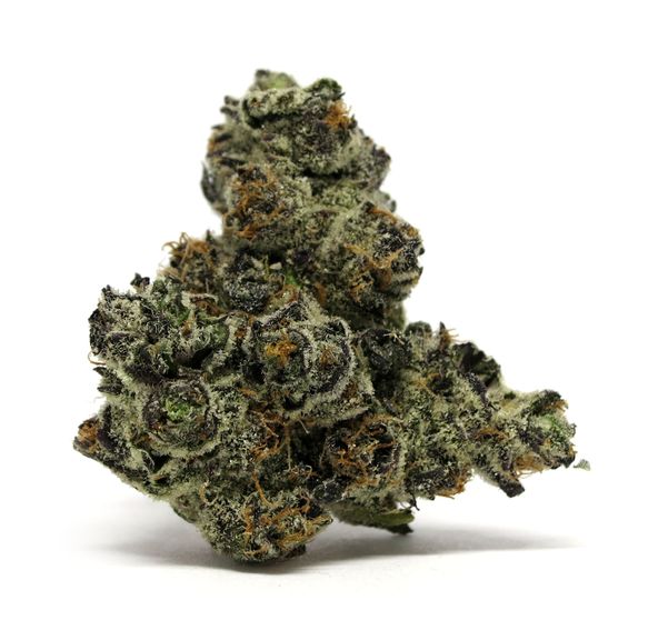 BLACK GUMMY (4.2G) by Terraform