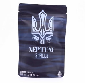 Neptune- ILLEMONATI 7G SMALLS