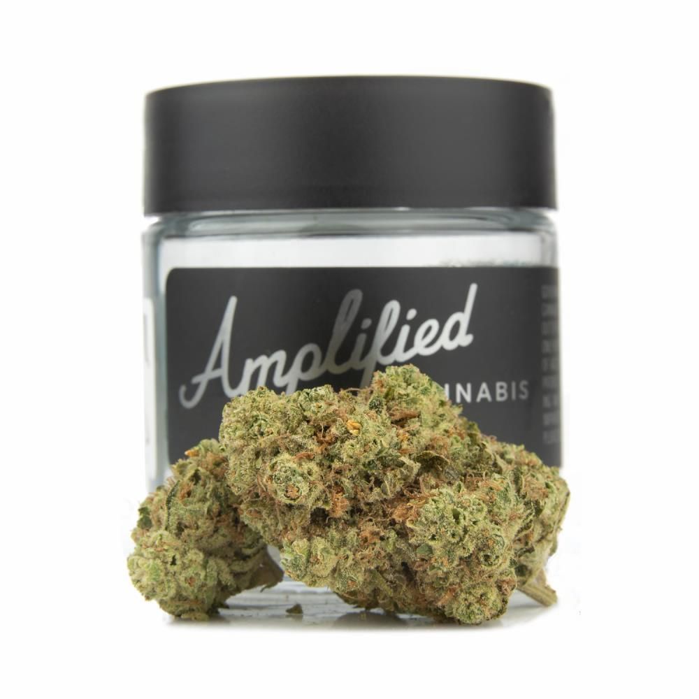 Super Sour Diesel (28.90% THC) Amplified Farms