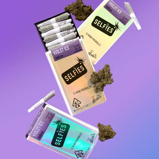 Preroll 12 Pack - Violet Ice