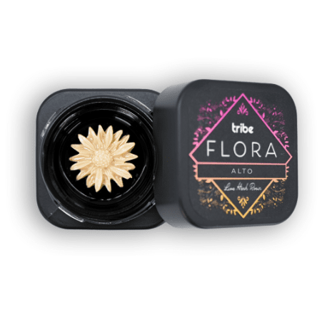 Flora - Sunflower - Alto - Live Hash Rosin