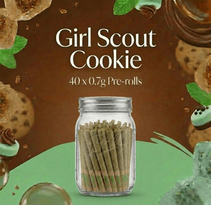 0.7g Pre-Roll - Girl Scout Cookies (I) 40 Pack Jar