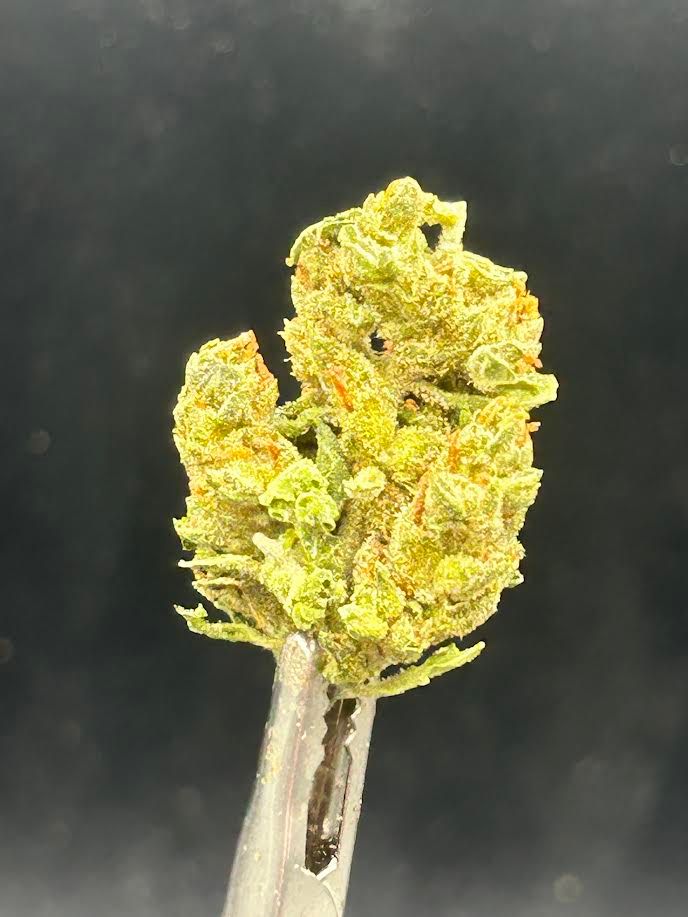 Carbon- $50 ozs
