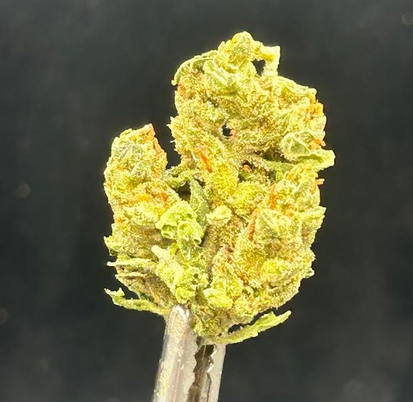 Carbon- $50 ozs