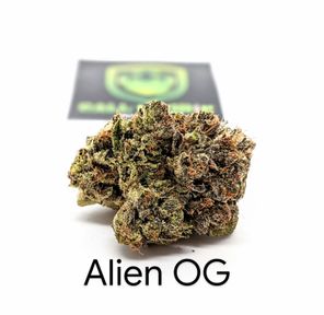 [AAAAA] Alien OG (LOUD) ***NEW***