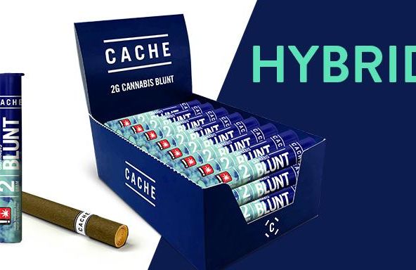 Cache - Hybrid - Blunt - 2g