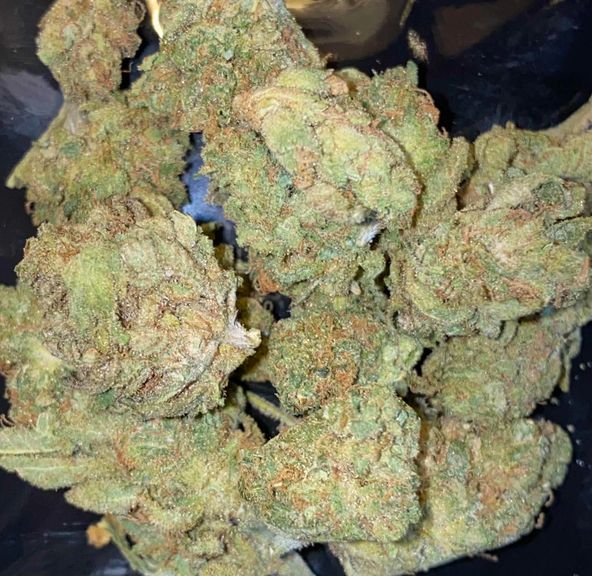 Orange Dreamsicle