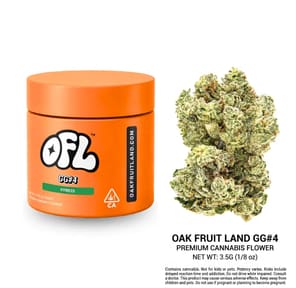 Gg#4