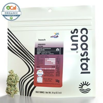 Coastal Sun- Hooch 14g (I)