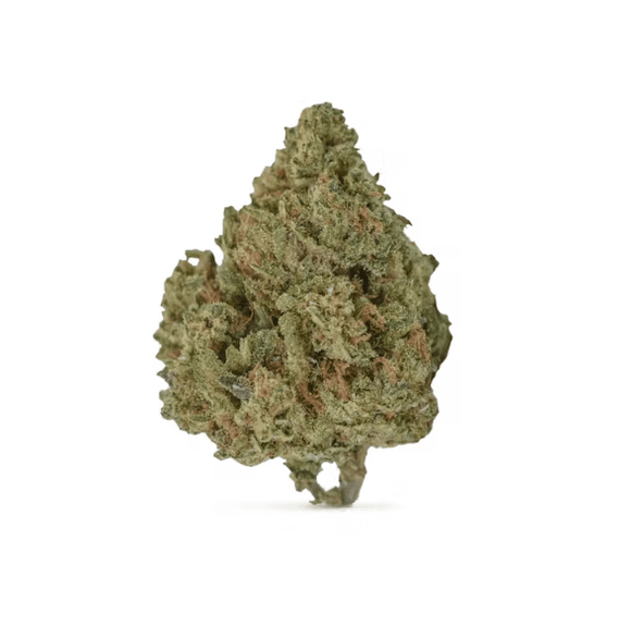 Blue Dream Greenhouse