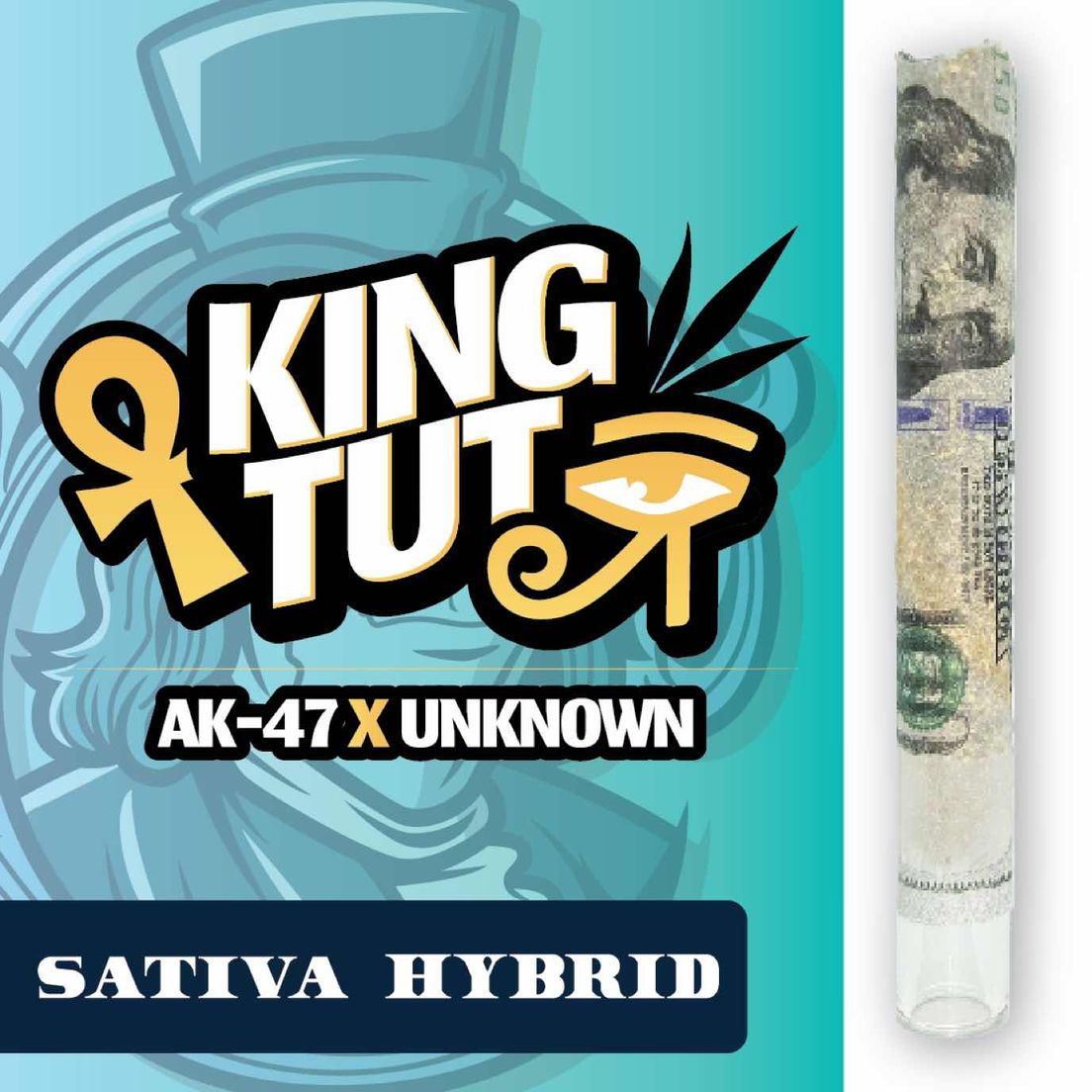 RR|Fancy Franklin|King Tut