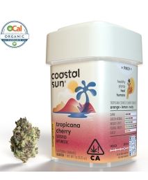 Coastal Sun - Tropicana Cherry 7g