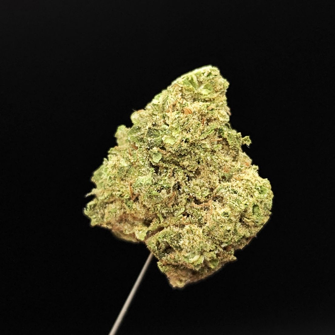 West Coast Treez - Hashburger 3.5g