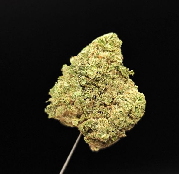 West Coast Treez - Hashburger 3.5g