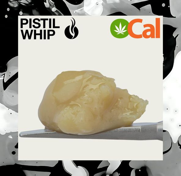 Pistil Whip - Sour Garlic Cookies Live Rosin Badder 1g