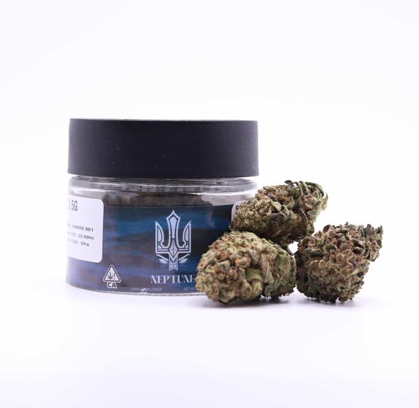 Neptune- AMARETTO MINTS 3.5G