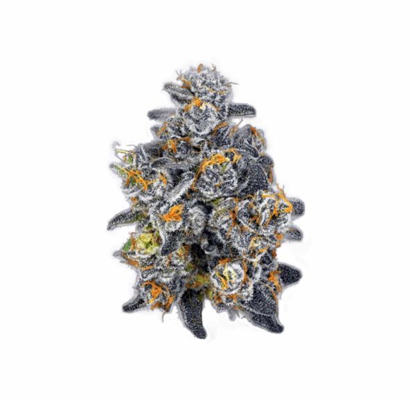 NuCannabis - Rainbow Runtz 7G - PREMIUM INDOOR FLOWER