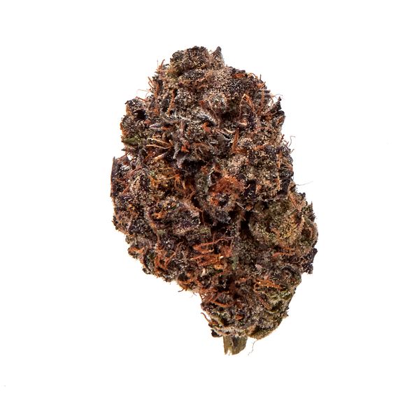 Adios MF Indoor Flower