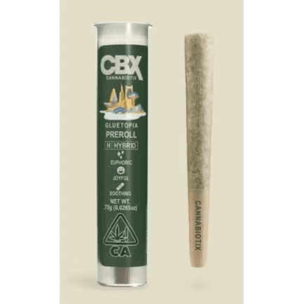 Gluetopia Preroll