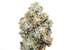 Alien Labs Indoor - Baklava 32%
