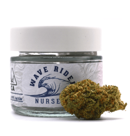 Wave Rider Nursery - Fruit Punch - 3.5g - Sativa