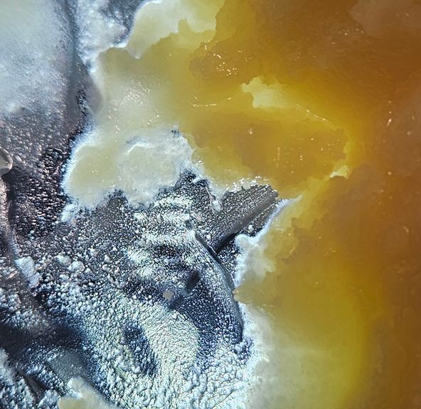 Dissolv - Dabs - Lemon Skittles - 1g