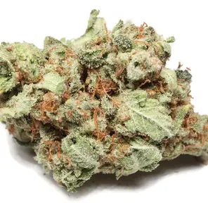 White Berry (14g prepack)