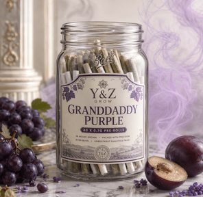 0.7G Pre-Roll: Granddaddy Purple (I) 40 PACK JAR