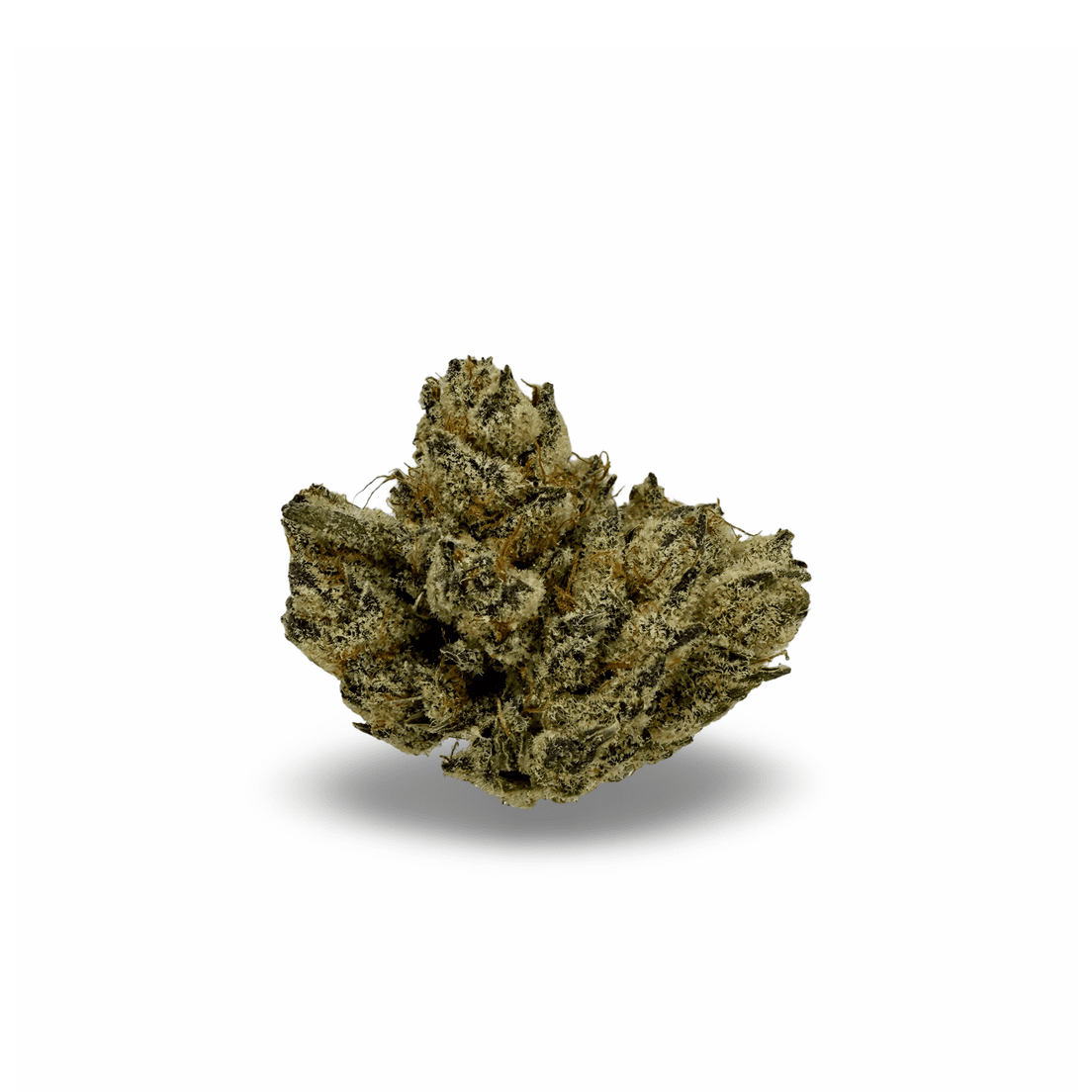 CASINO KUSH - 28G | INDOOR FLOWER