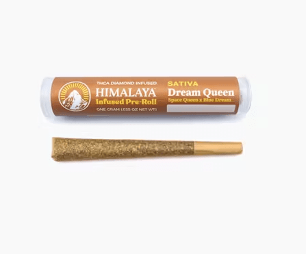 Himalaya Infused Pre-Roll Dream Queen 1g