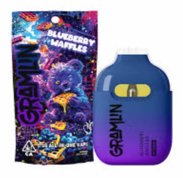 GRAMLIN AIO- 1G BLUEBERRY WAFFLES