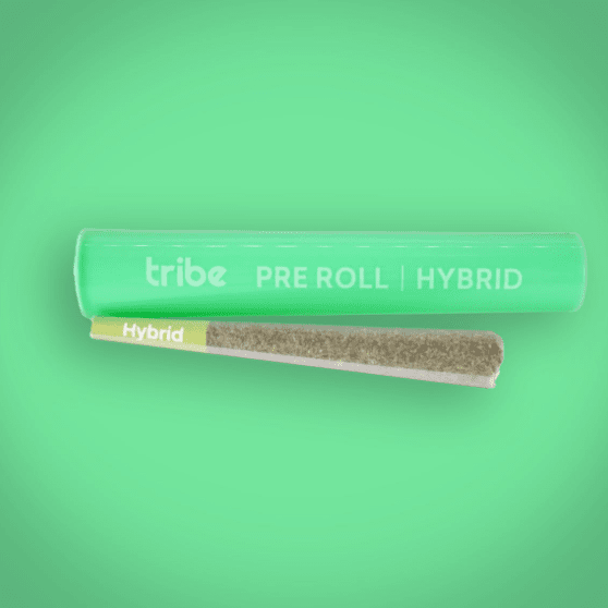 Fritter Breath - Hybrid - Flower Pre Roll