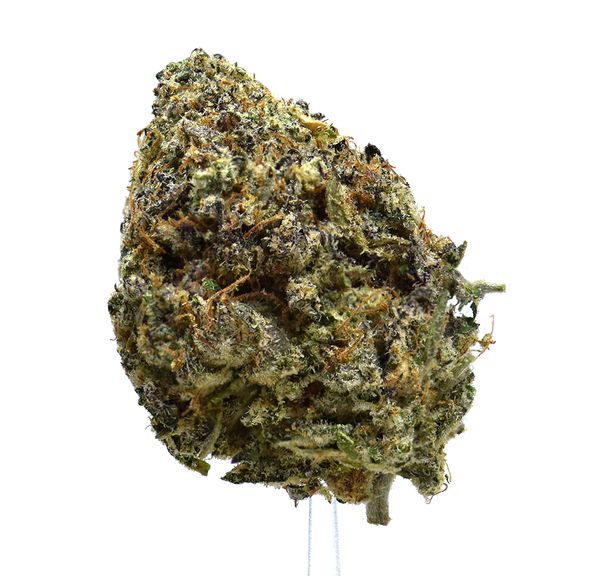 Chimera | $100/oz | NEW!