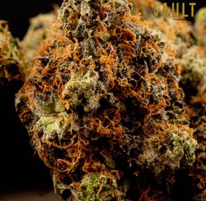 AAAA | BLACK GAS 💥SUPER SALE💥