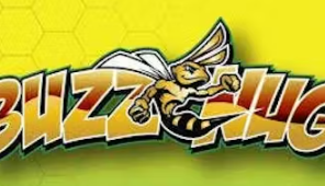 Buzznug 3.5 gram - Purple Panty Dropper (1 oz mix n match $99)