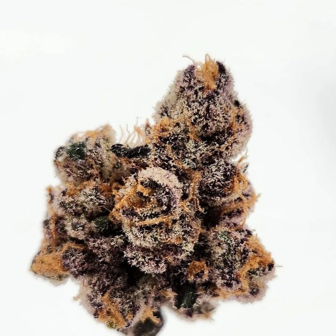 West Coast Cure - Gas Basket (28g)