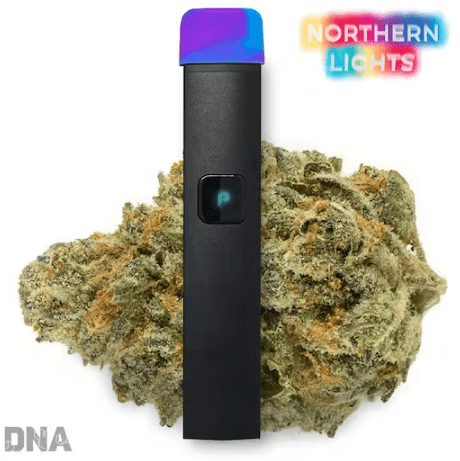 Justplay™ Northern Lights