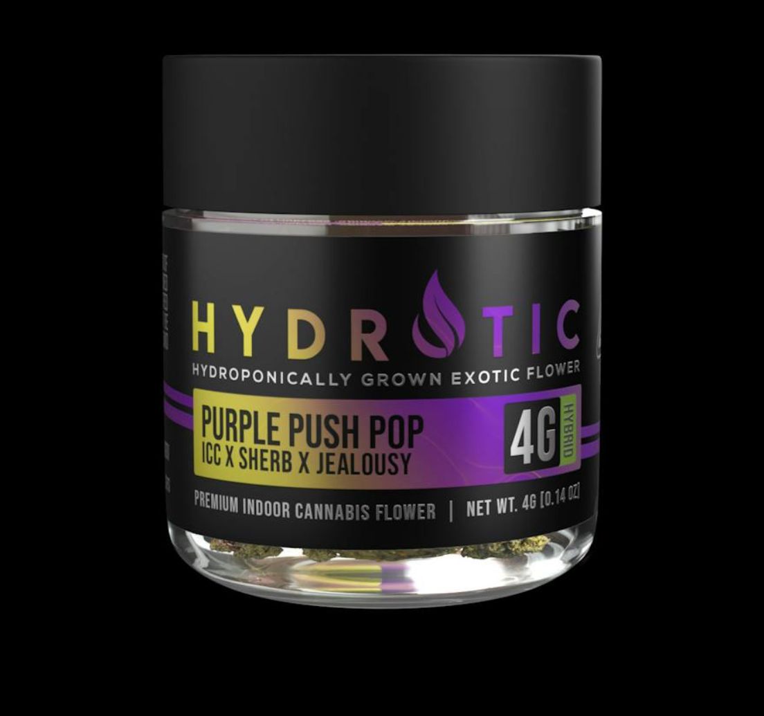 Hydrotic | Purple Push Pop | 4g