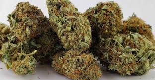PEACHES AND PAPAYA 33.62% THC OUNCE