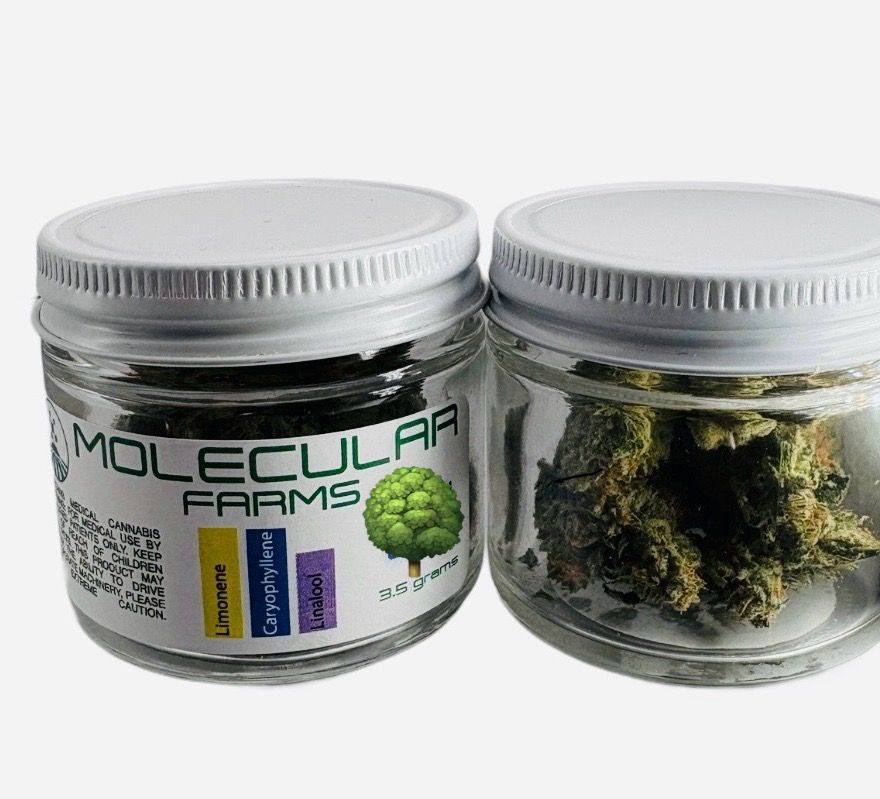 Molecular Farms | Lemon Cherry Gelato Reserve - Flower | 3.5g | Hybrid