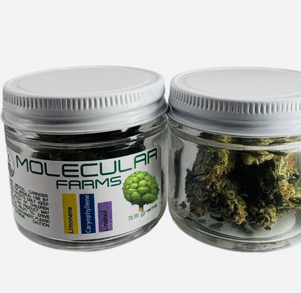 Molecular Farms | Lemon Cherry Gelato Reserve - Flower | 3.5g | Hybrid
