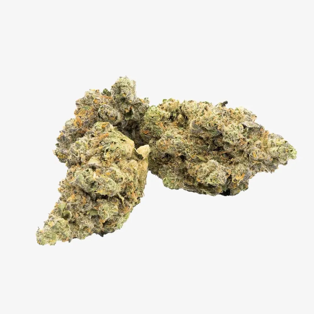 Bruce Banner