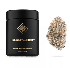 COTC- 3.5 EPSTEIN FILES