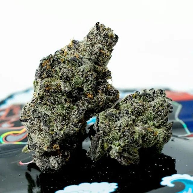 Teds Budz- Black Fish 3.5g (H)