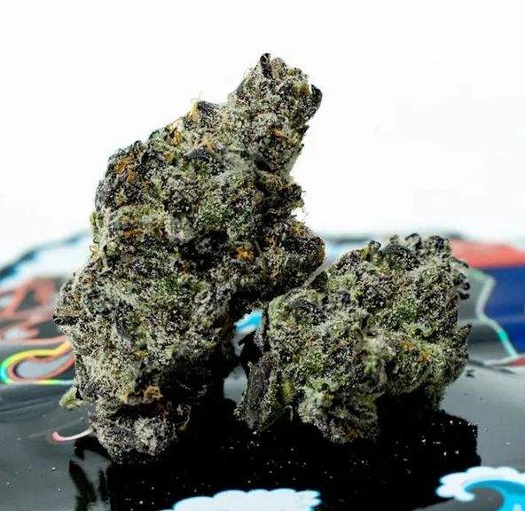 Teds Budz- Black Fish 3.5g (H)