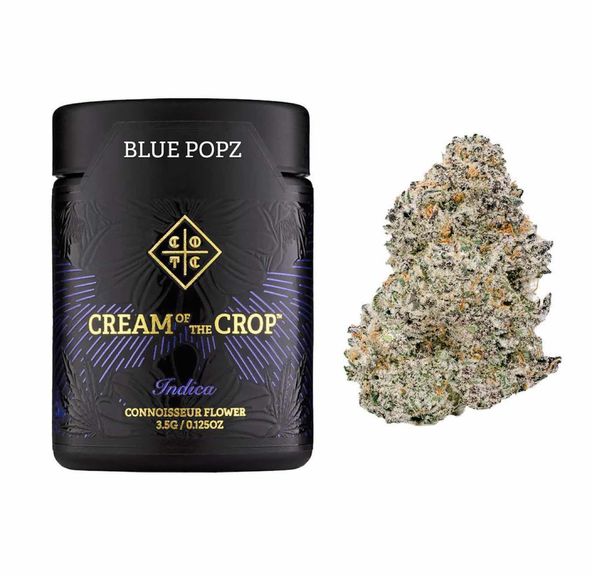 Cream of the Crop Gardens - Blue Popz 3.5g