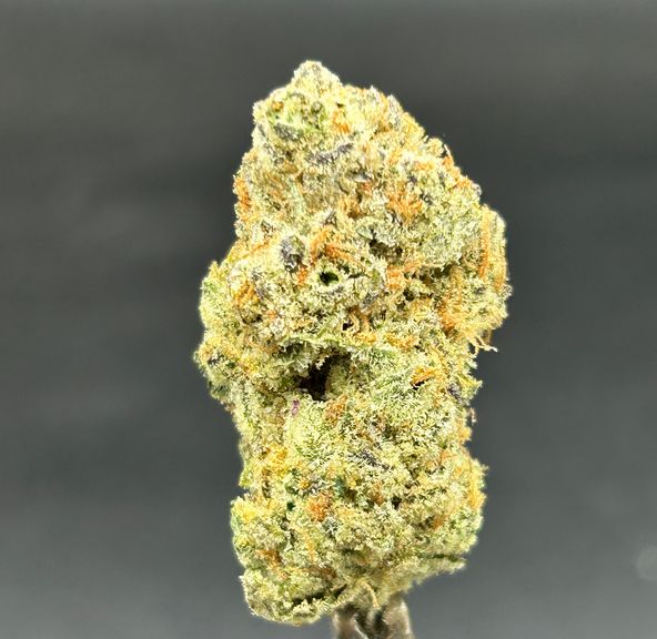 Blueberry Bubblegum - New England's Finest Organics - Tier 1